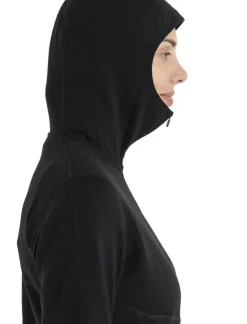 Icebreaker W merino 560 elemental II LS hoody