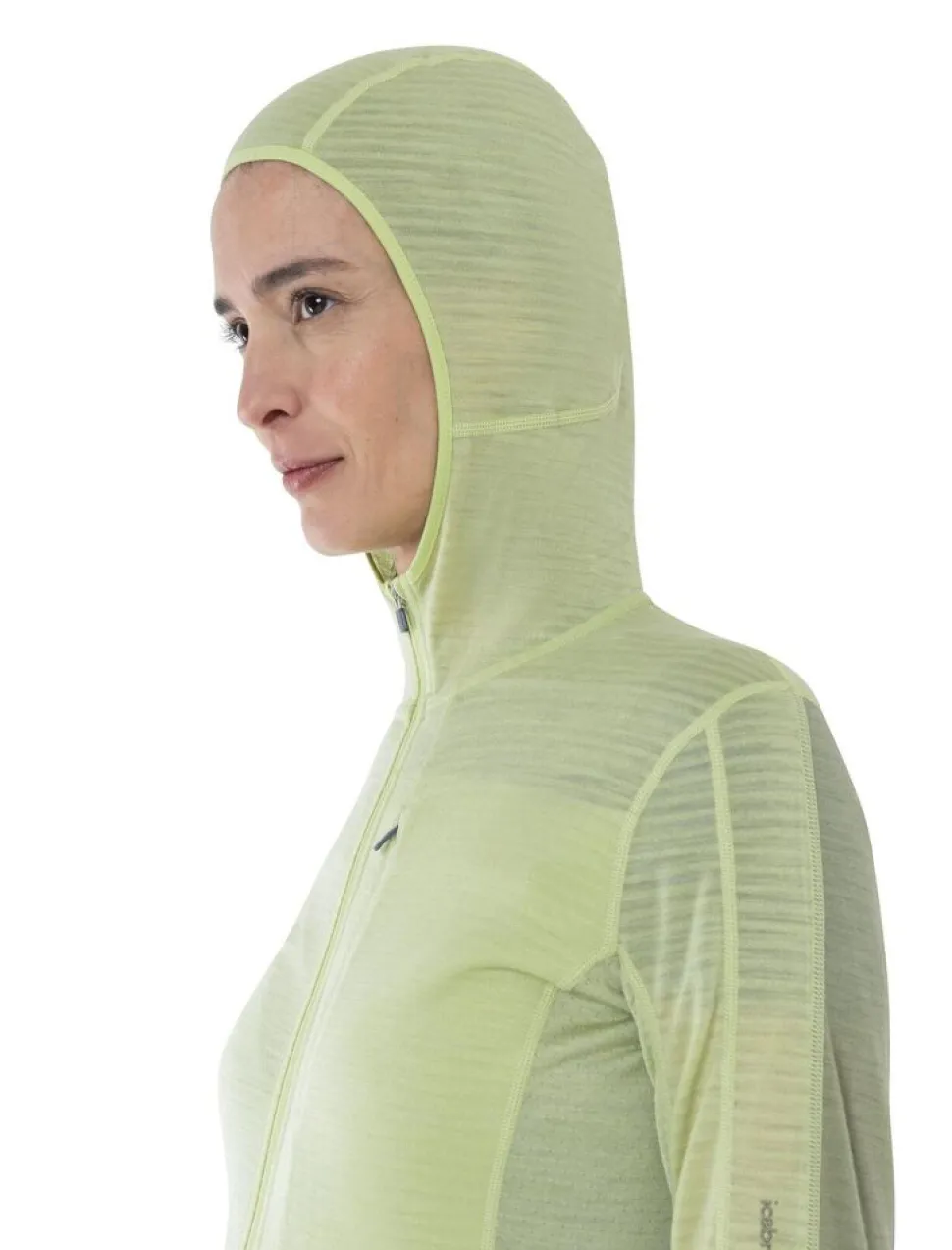 Icebreaker W Merino 200 Realfleece Descender LS zip hoodie