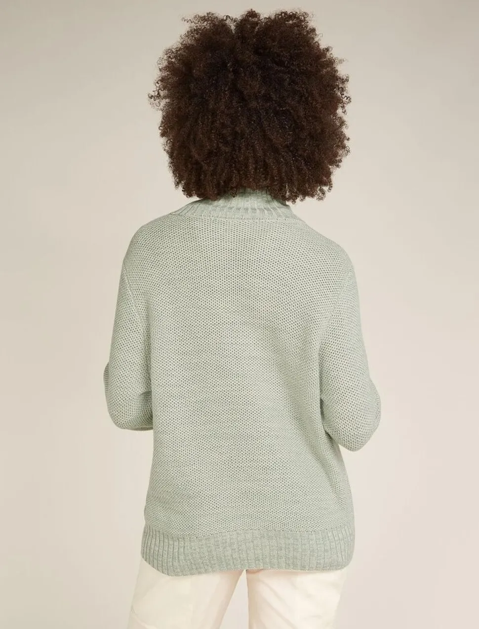 Icebreaker W Seevista funnel neck