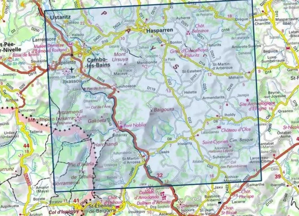 IGN 1345OT Cambo-les-Bains