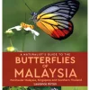 John Beaufoy Naturalist's Guide to the Butterflies of Malaysia