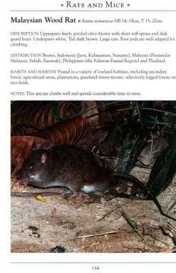 John Beaufoy Natuurgids Mammals of Southeast Asia