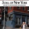 Jonglez Soul of New York