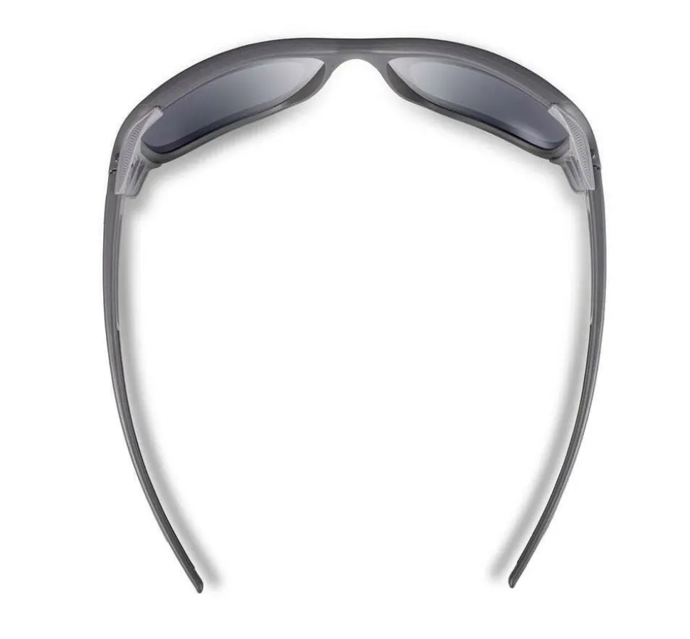 Julbo Monterosa 2 blauw irise P24BL