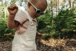 Julbo Walk mint SP3+