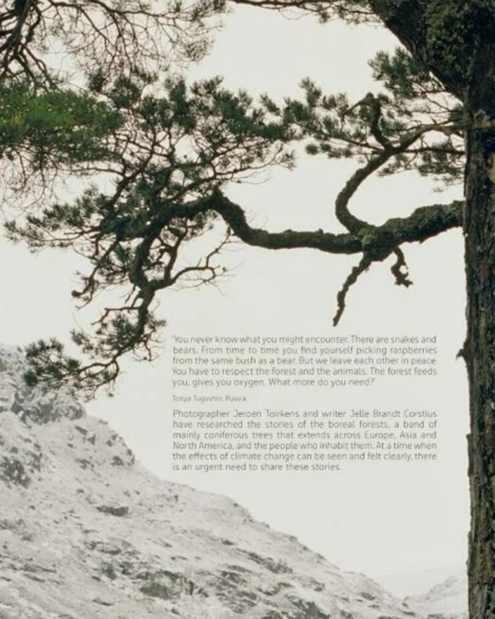 Lannoo Borealis