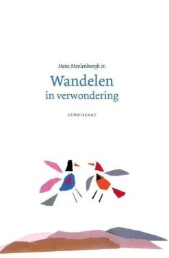 Lemniscaat Wandelen in Verwondering