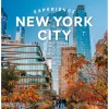 Lonely Planet Experience New York City 2