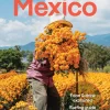 Lonely Planet Mexico 19