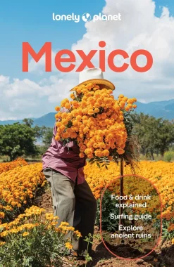 Lonely Planet Mexico 19