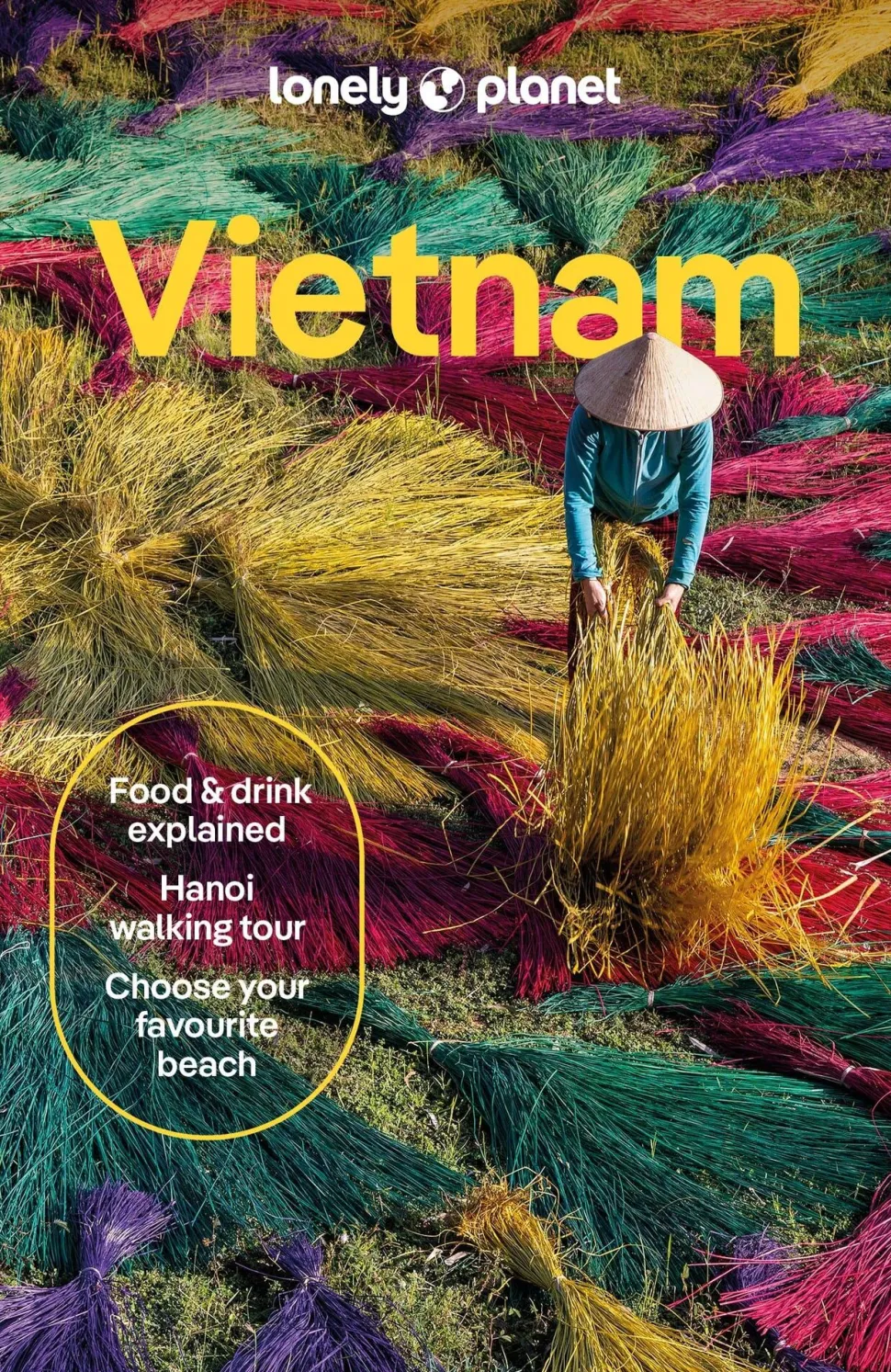 Lonely Planet Vietnam 17