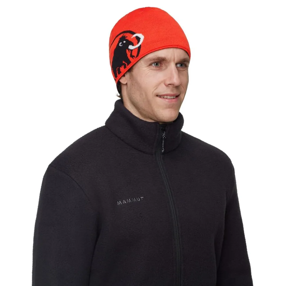 Mammut Mammut Logo Beanie