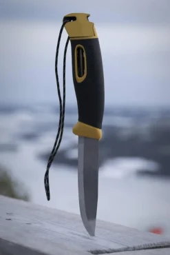 Mora Companion spark