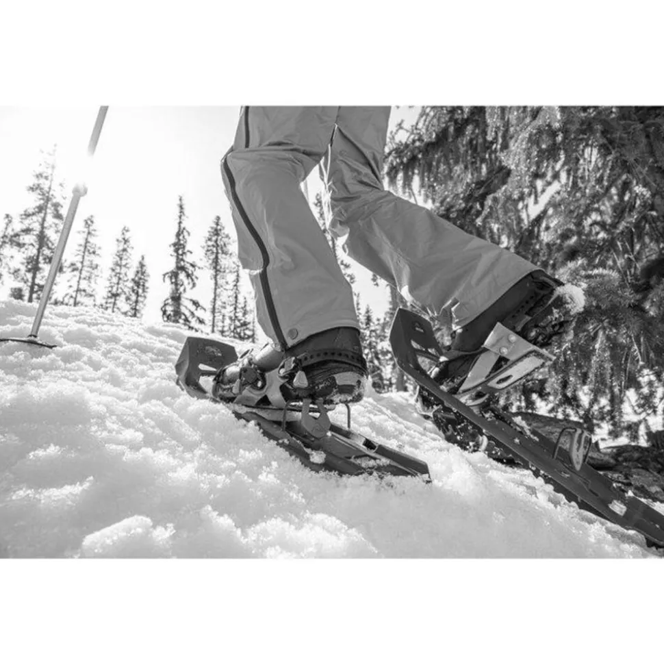 MSR Evo Trail