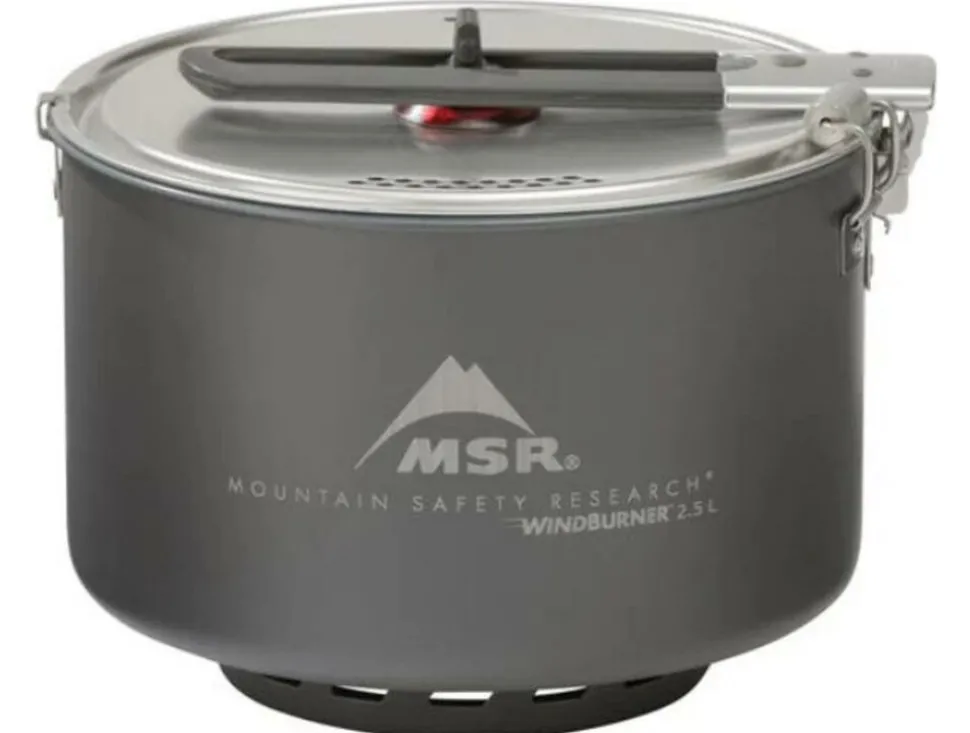 MSR Windburner sauce pot cv2