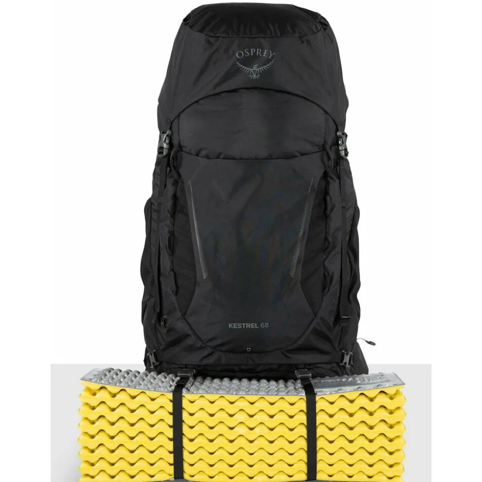 Osprey Kestrel 68