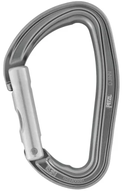 Petzl Djinn carabiner straight gate gray