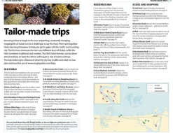 Rough guide Reisgids Dubai Rough Guide