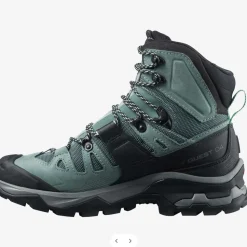 Salomon Quest 4 GTX W