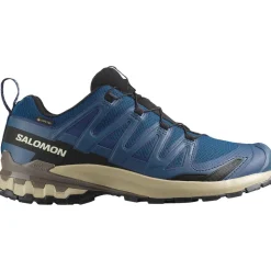 Salomon XA Pro 3D V9 GTX