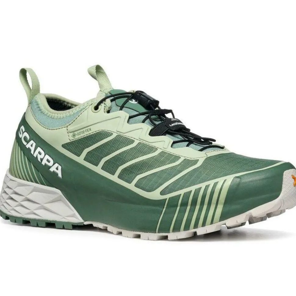 Scarpa Ribelle run GTX wmn