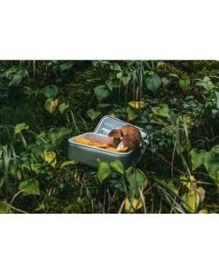 Sigg Metal Box Plus S (pp Box Inlet) Small