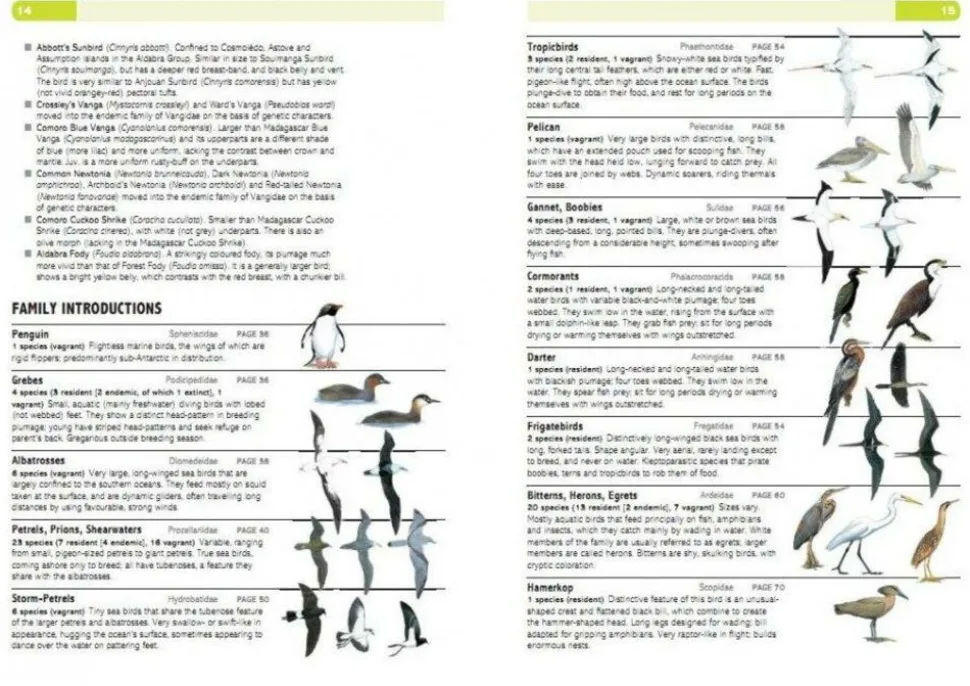 Struik Vogelgids Birds of the Indian Ocean