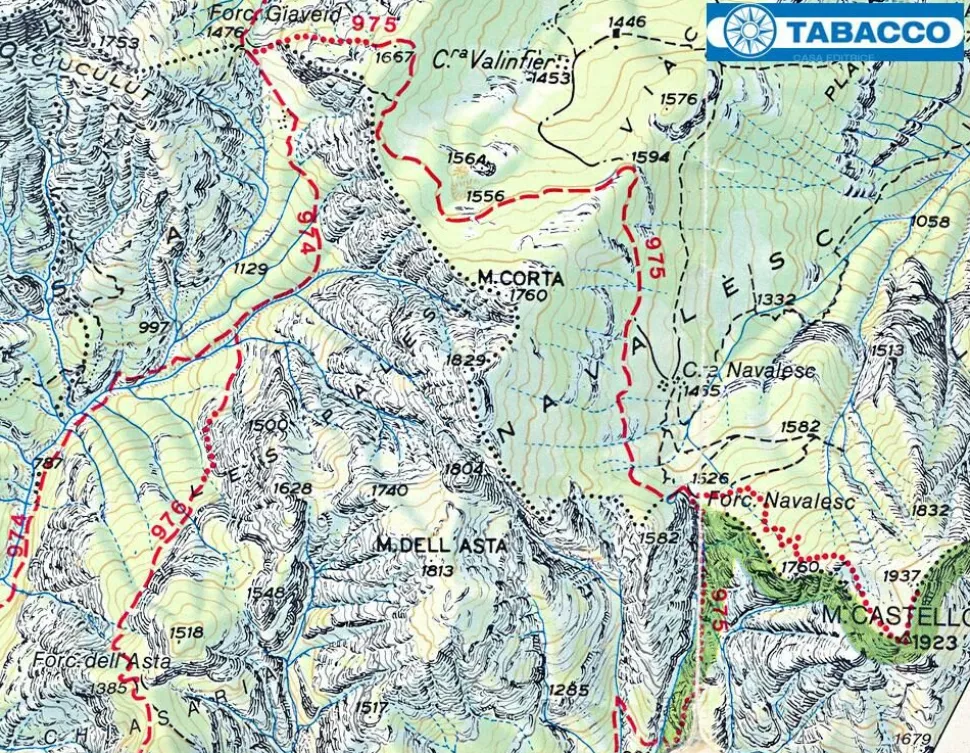 Tabacco Topografische wandelkaart 070 Il Montello Colli Asolani