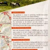 TerraQuest Indian Himalaya Trekking Guide