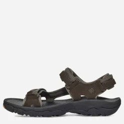 Teva M Hudson