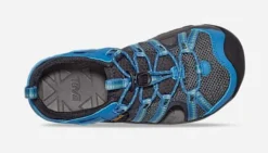 Teva Y manatee
