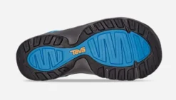 Teva Y manatee