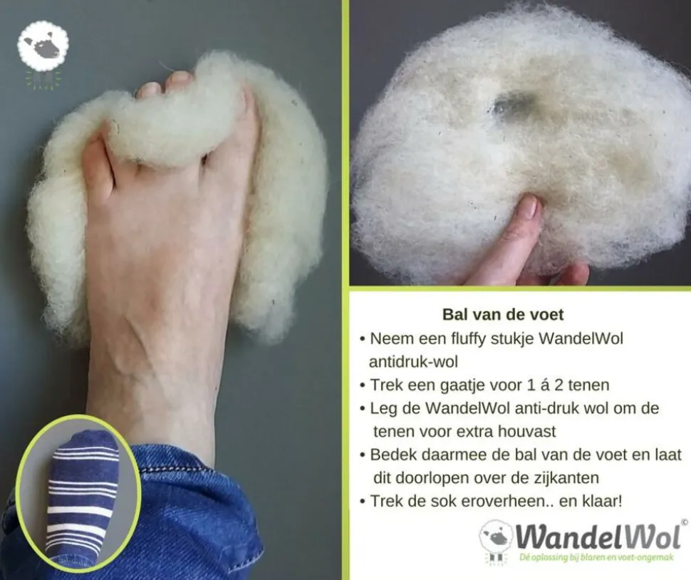 wandelwol WandelWol 20 gram