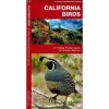 Waterford California Birds