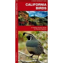 Waterford California Birds