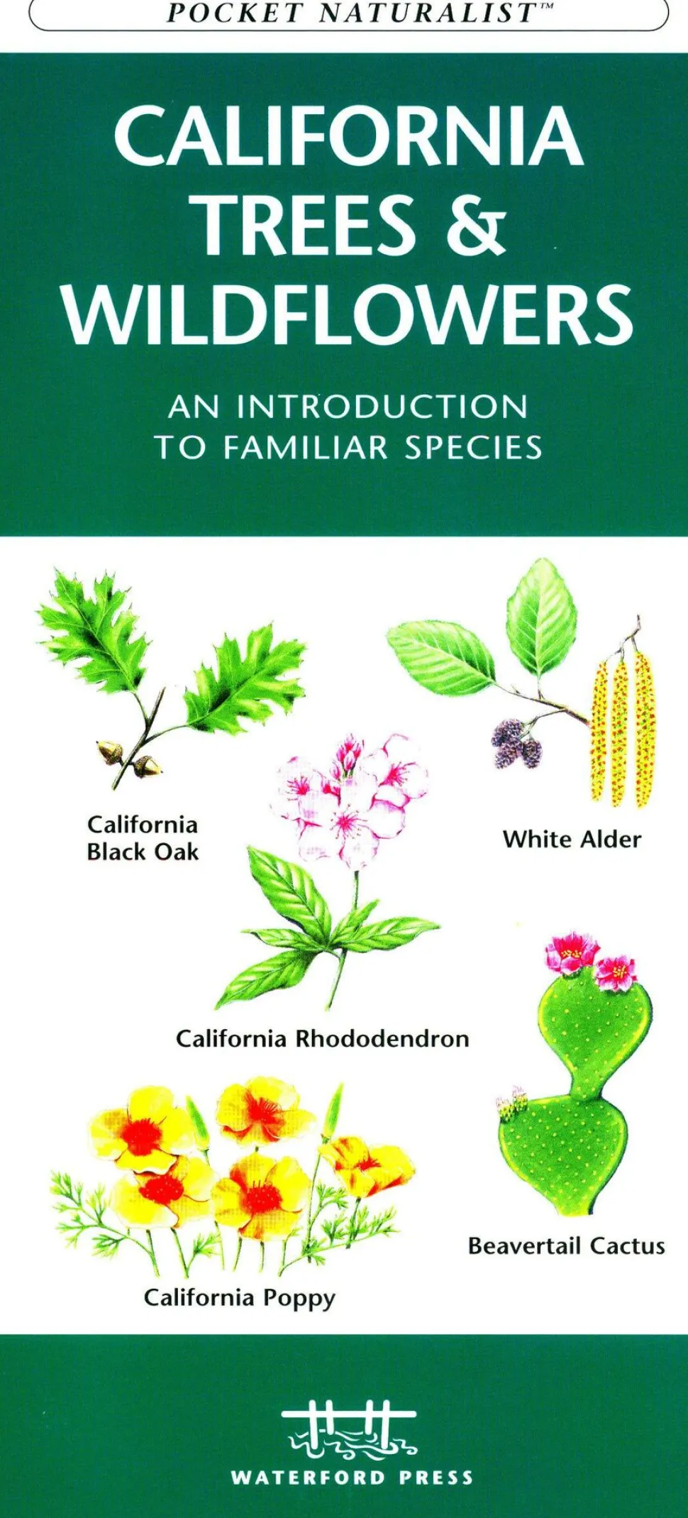 Waterford California Trees & Wildflowers
