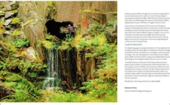 Wild Things Wild Guide Wales & Marches